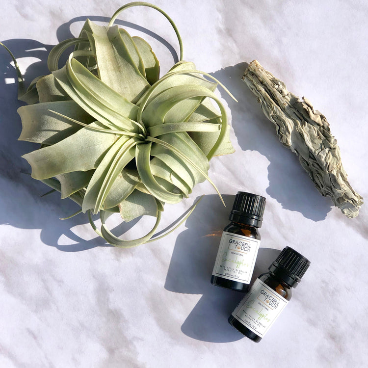 Essential Oils Collection