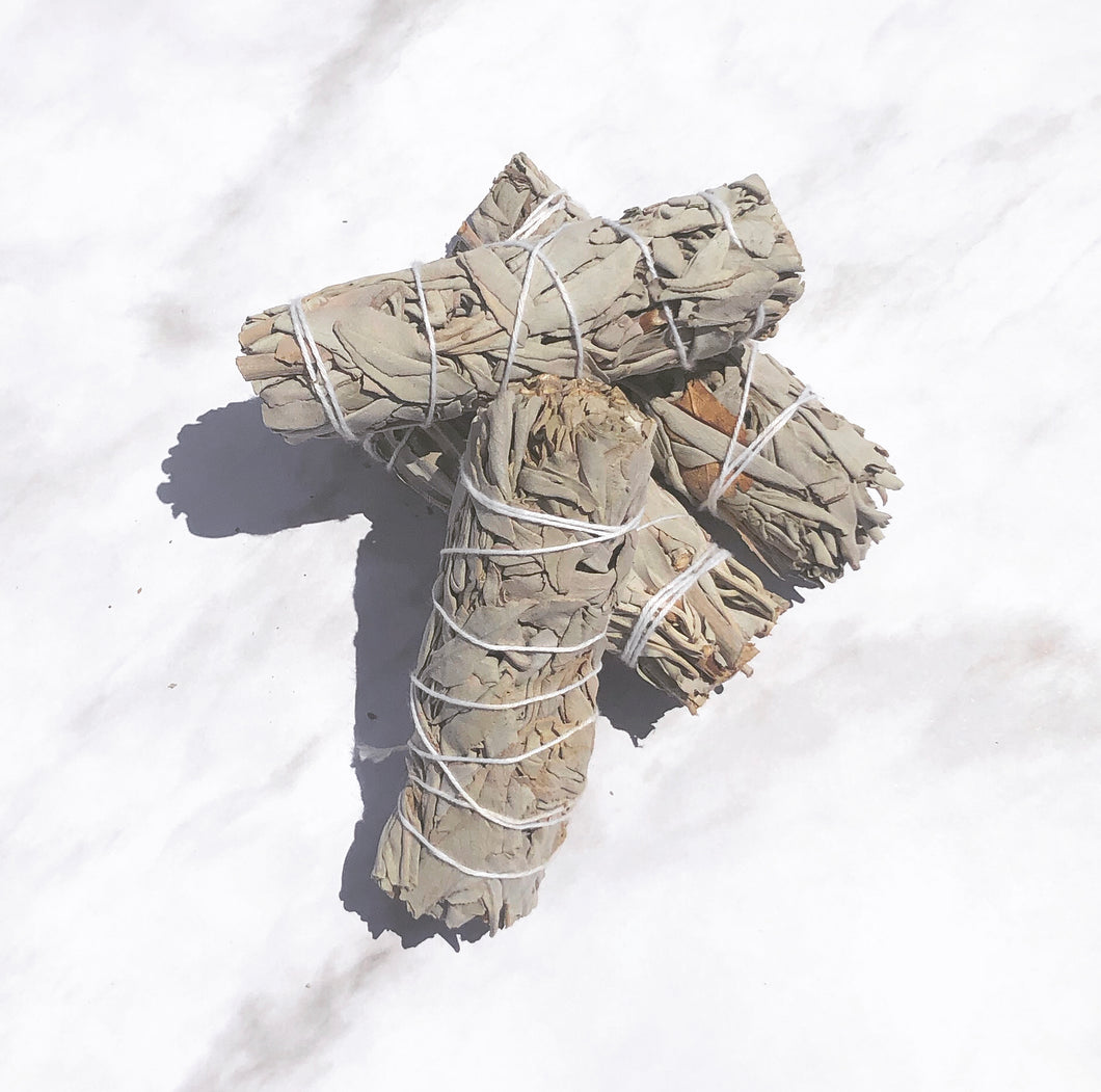 White Sage for smudging and removing stuck energy 